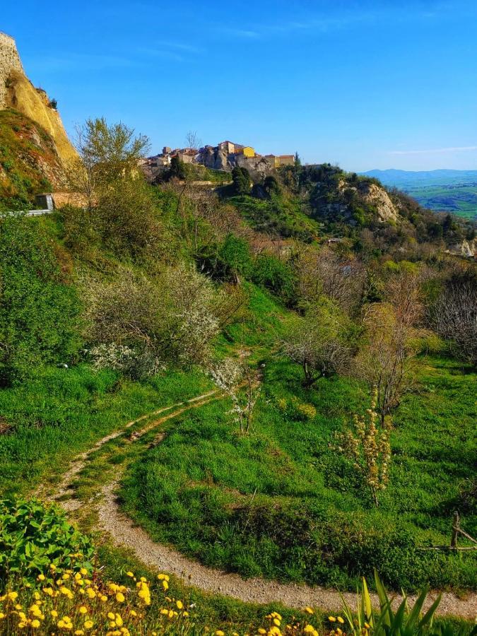 Borgo Sciugolo Bed and Breakfast Baselice Εξωτερικό φωτογραφία